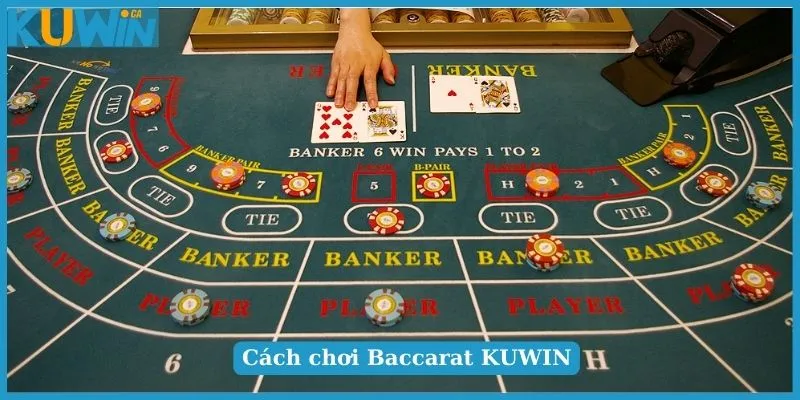 Các thuật ngữ trong trò chơi Baccarat KUWININ