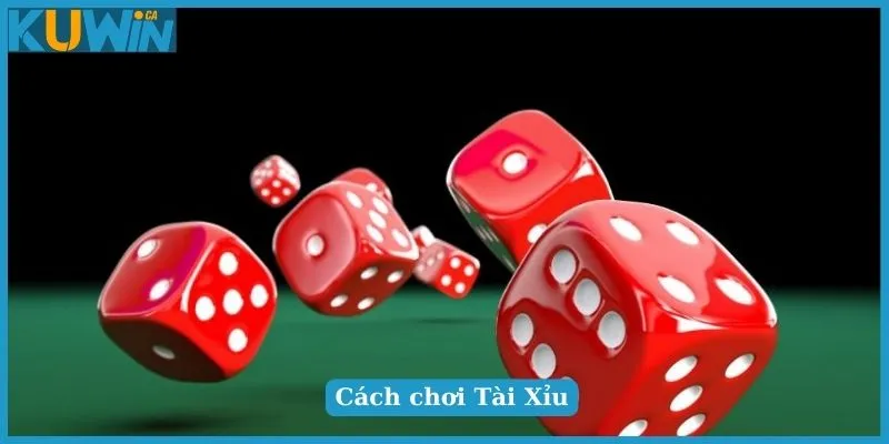 Cách chơi Tài Xỉu cơ bản cho tân binh mới bắt đầu