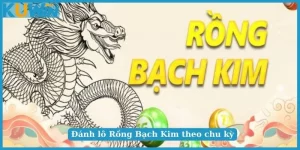 Đánh lô Rồng Bạch Kim theo chu kỳ