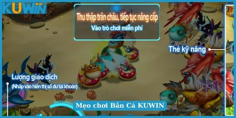 Chiến thuật chơi Bắn Cá KUWIN hiệu quả cao