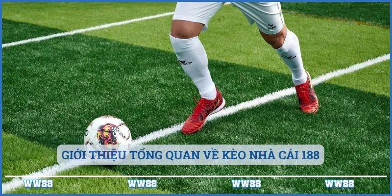 Giới thiệu tổng quan về kèo nhà cái 188